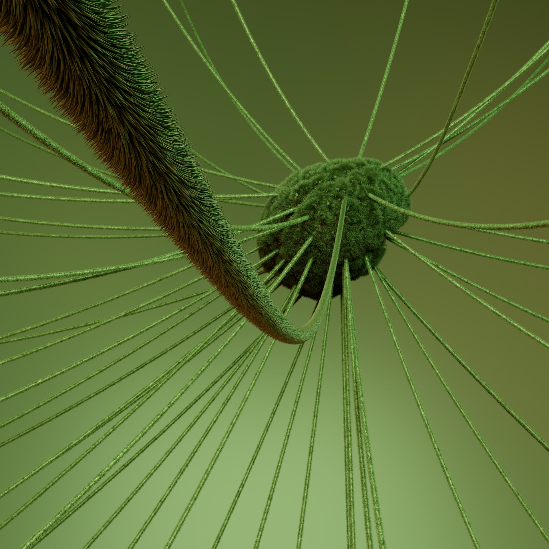 A close up view of a green plant stem